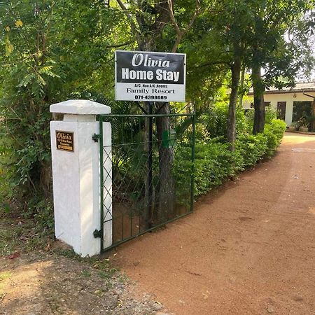 Olivia Homestay Anuradhápura Exteriér fotografie
