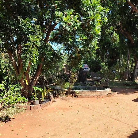 Olivia Homestay Anuradhápura Exteriér fotografie