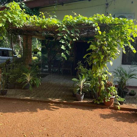 Olivia Homestay Anuradhápura Exteriér fotografie