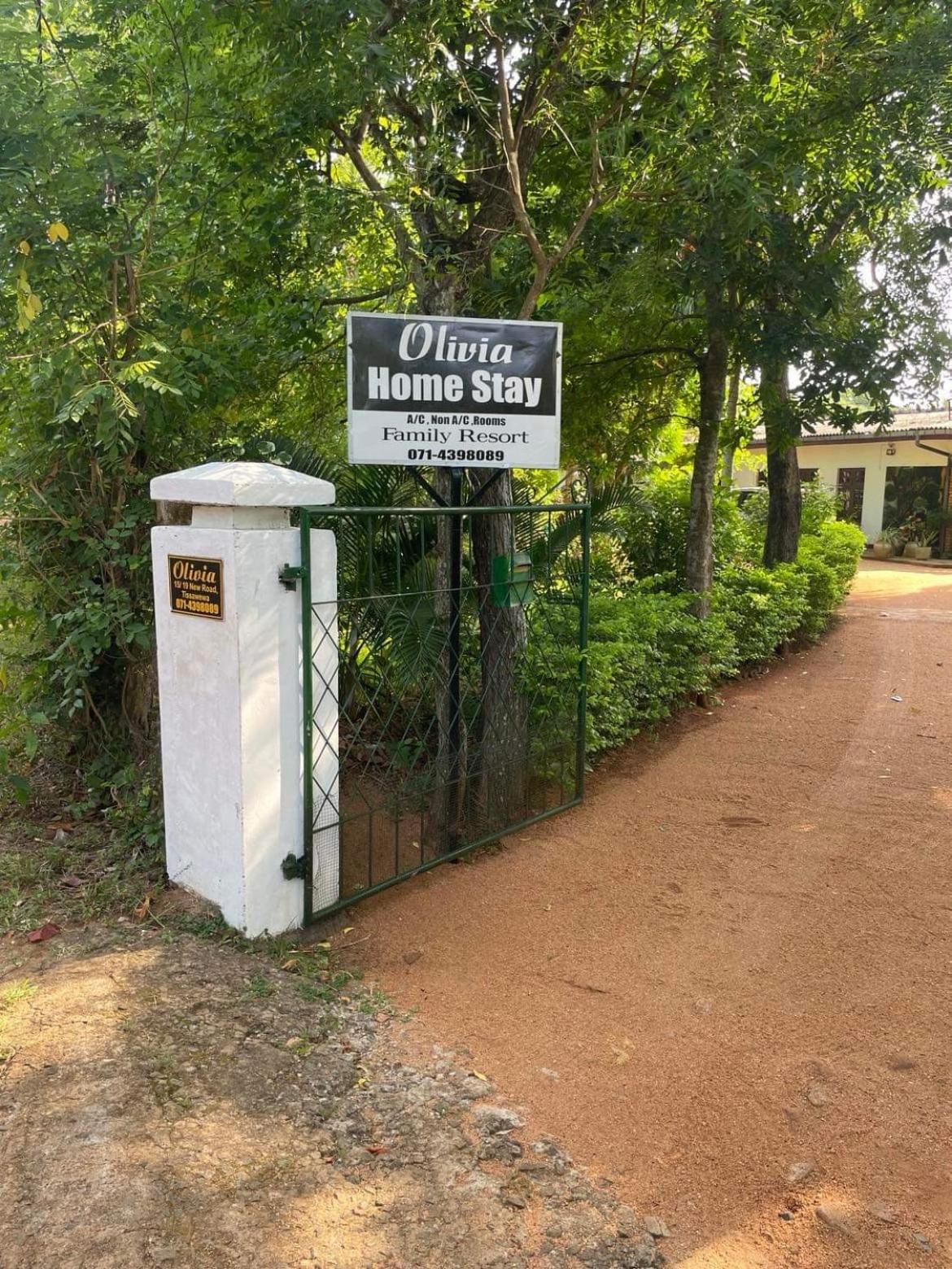 Olivia Homestay Anuradhápura Exteriér fotografie