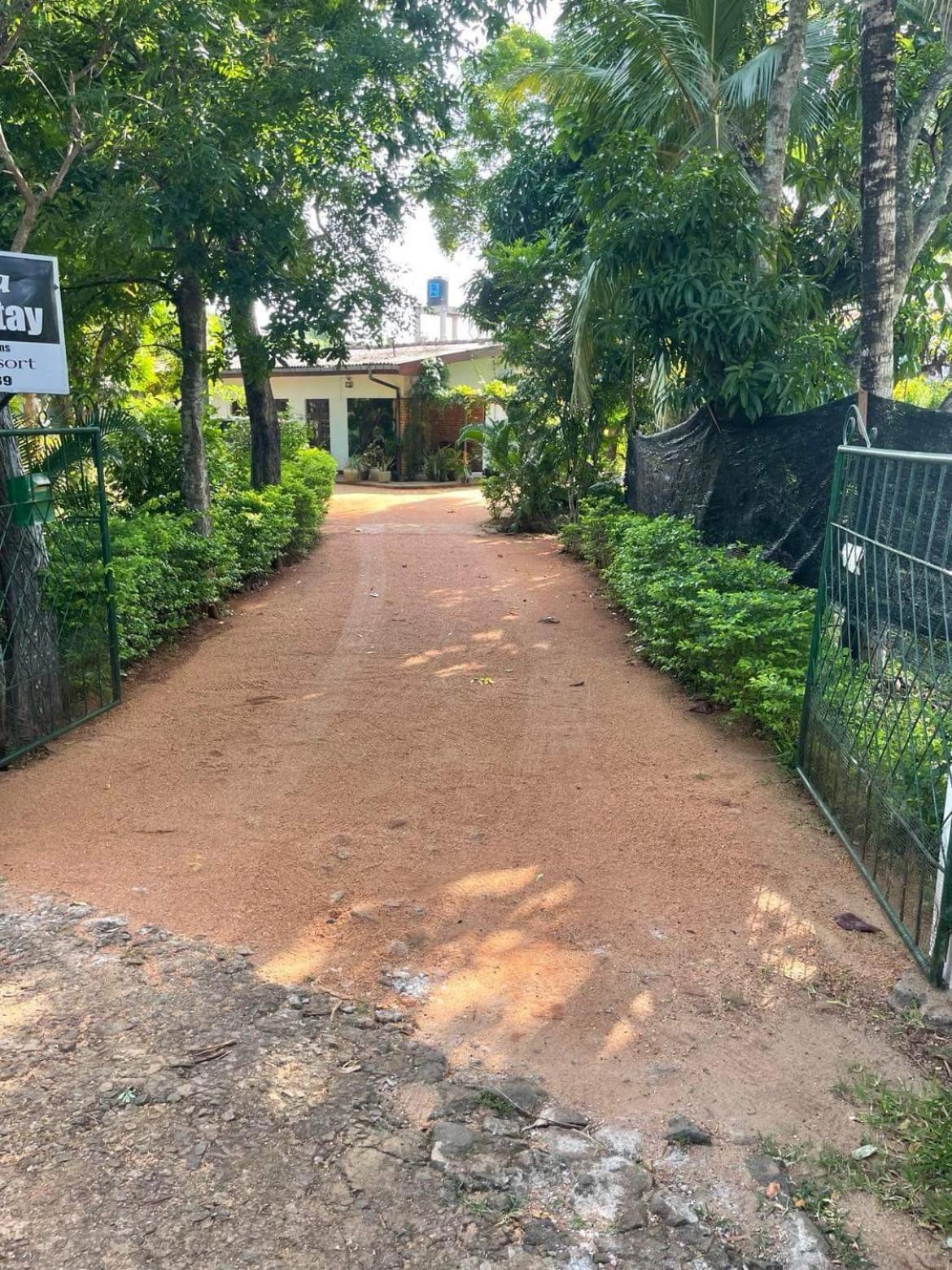 Olivia Homestay Anuradhápura Exteriér fotografie