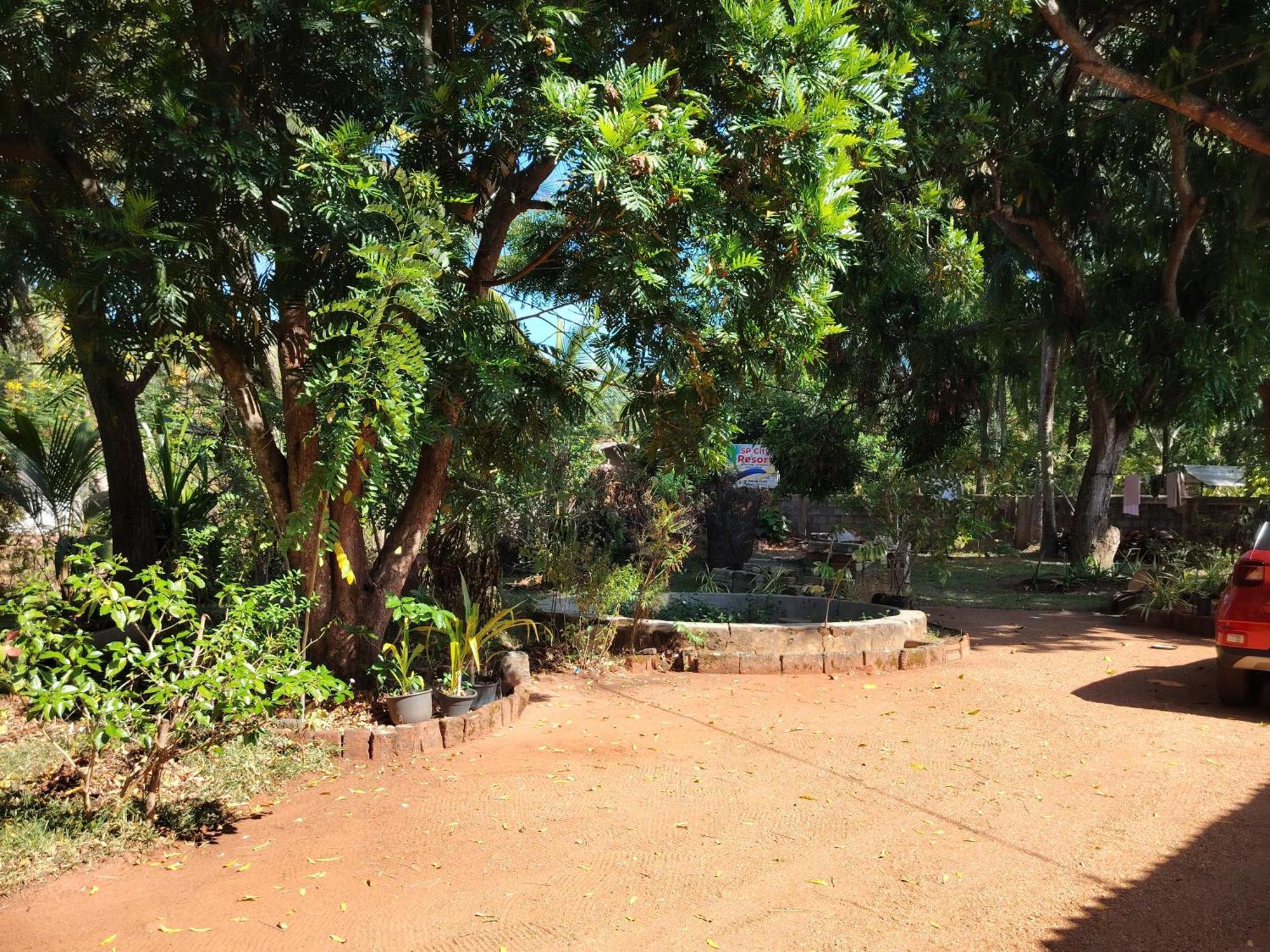 Olivia Homestay Anuradhápura Exteriér fotografie