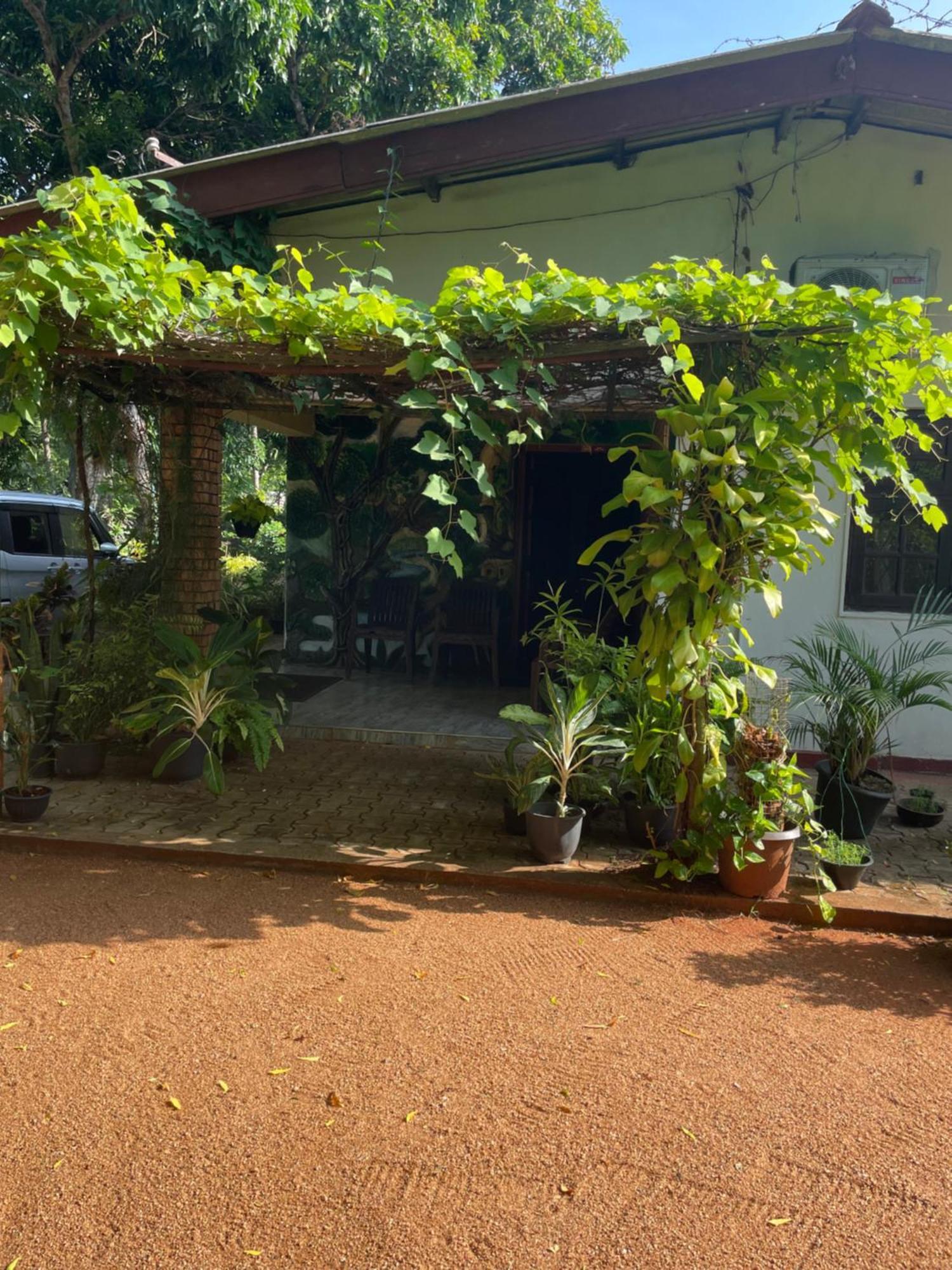 Olivia Homestay Anuradhápura Exteriér fotografie