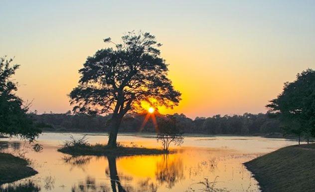 Olivia Homestay Anuradhápura Exteriér fotografie